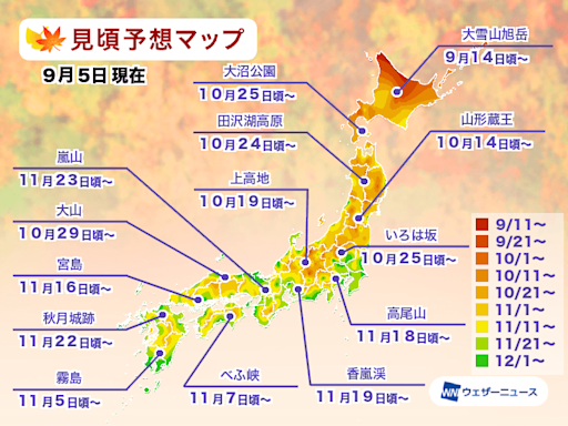 2024日本紅葉預測來了！京都11月下旬最美 各地最佳賞楓時間公開