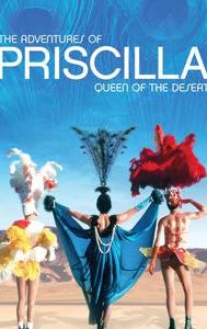 The Adventures of Priscilla, Queen of the Desert