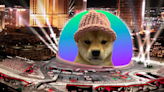 What Happened to Putting Dogwifhat on the Las Vegas Sphere? - Decrypt