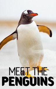 Meet The Penguins