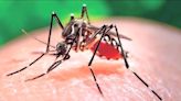 Community effort needed in the fight against ‘ankle biters’: 15 cases of West Nile Virus found in Kern in 2023