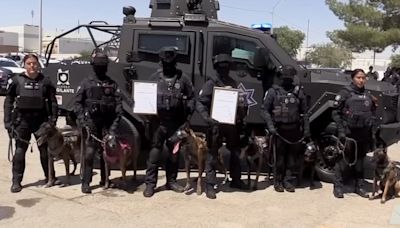 Perros K9 "Bruno" y "Cuate" de Ciudad Juárez premiados por detectar fentanilo