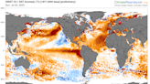 The oceans are unusually hot and on track to get hotter. That's not good.