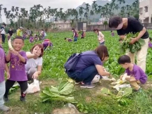 迎白玉蘿蔔季！美濃客家庄開放預約鄉土體驗