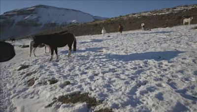 La dramática situación que se vive en El Calafate por las temperaturas de hasta -18°