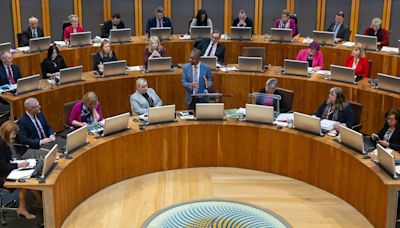 Senedd election gender quota plan delayed to 2030