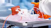 Bavarian Nordic raises sales guidance after monkeypox vaccine order