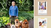 Martha's New Pet Food Line for Dogs and Cats Was Inspired by Home Cooking