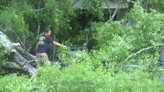 Local landscapers lend a helping hand during storm cleanup