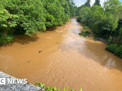 River Dart pollution sparks 'do not swim' warnings