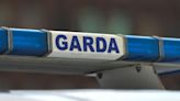 Man in his 60s dies after Donegal hit-and-run