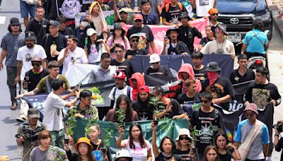 Cannabis advocates in Thailand protest a proposal to ban its general use once again