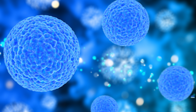 Revolución en el tratamiento de los cánceres de sangre: ¿cómo funcionan las células CAR-T contra los tumores sólidos?