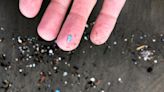 The Most Disturbing Places We've Found Microplastics So Far