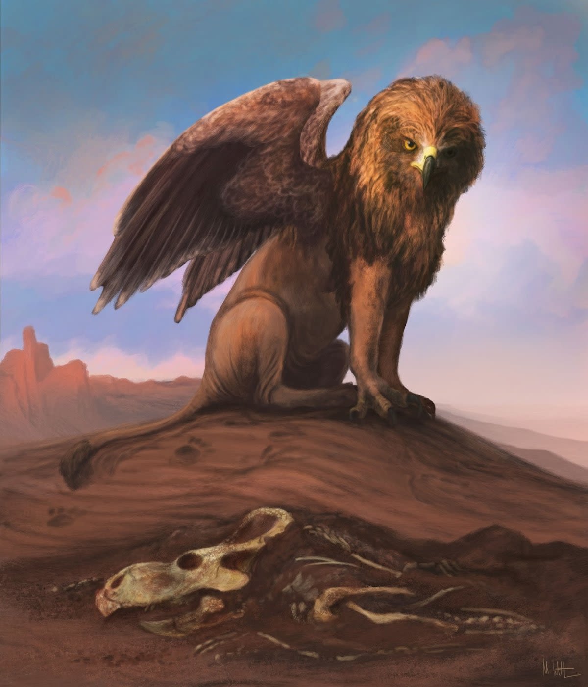 Scientists debunk 30-year myth about griffins