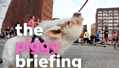 Flying Pig preview, Paycor Stadium updates and more: Today's top stories | Daily Briefing