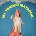 My Tender Matador (film)