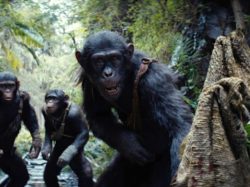 ‘Kingdom Of The Planet Of The Apes’ Invades Hulu In August