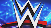 WWE Receives An Extension To Respond To A Fan Injury Lawsuit