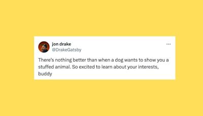 29 Of The Funniest Tweets About Cats And Dogs This Week (July 13-19)