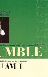 Rumble (You Am I song)