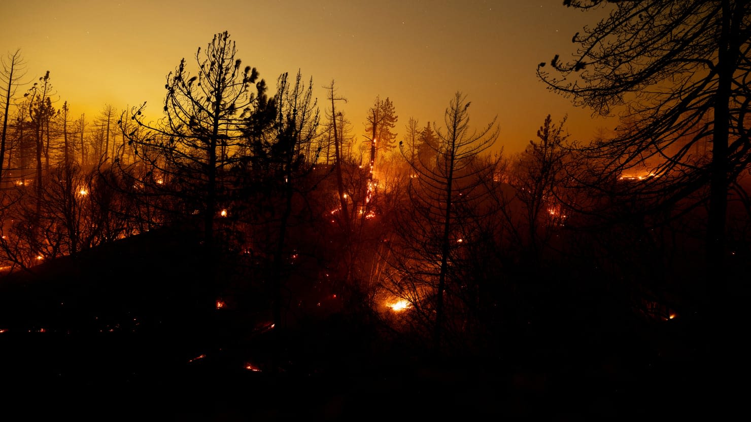 Southern California Wildfire Is So Fierce It’s Creating Its Own Weather