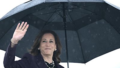 Hablemos de Kamala Harris y las amantes de los gatos