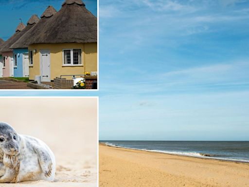 The quirky village with African-inspired homes, a top UK beach & seal-pup safari