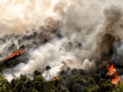 Europe roasts in ferocious 44C heatwave as Greece battles wildfires