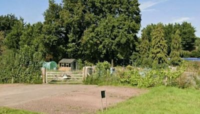 Pensioner dies after challenging 'intruders' at allotments