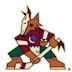 Arizona Coyotes