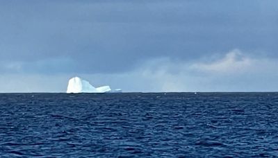 Alerta en Ushuaia por la aparición de un iceberg - Diario Hoy En la noticia