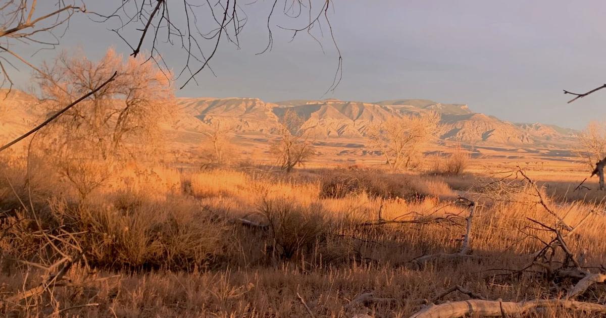 Wyoming, tribal impasse over hunting persists