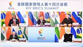 South Africa's role as host of the BRICS summit is fraught with dangers. A guide to who is in the group, and why it exists