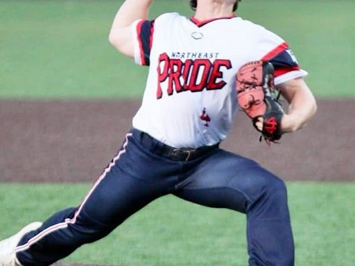 Honesdale's Brody Patrisso dazzles on the mound in travel team action