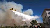 Foreigners help Israel battle forest fire