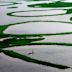 Loktak Lake