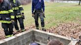 Look: Trapped horse hoisted out of old well in Indiana