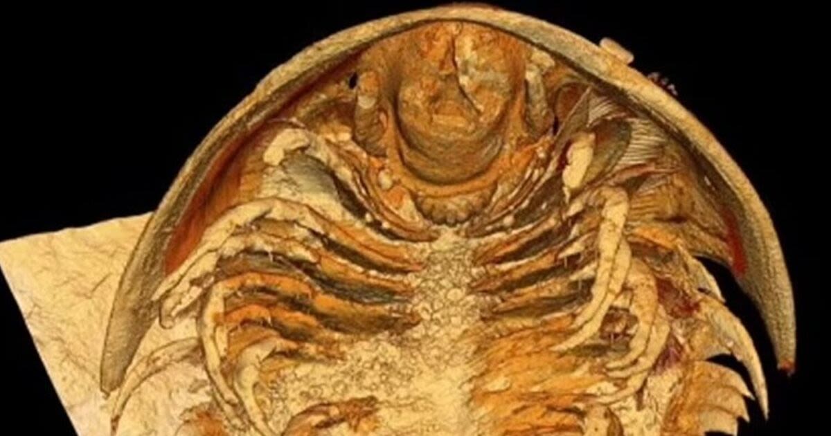 Terrifying prehistoric creature discovered given equally eerie name by scientist