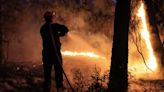 Incendies : le monde n'est pas préparé à les affronter