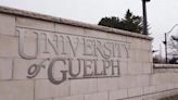 U of G tries to mitigate housing issue as enrolment increases