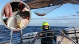 'Naveguei pelos oceanos em busca de microplásticos - um filme mostra o que nossa expedição só de mulheres encontrou'
