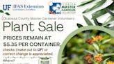 Pollinator and native plants available at Master Gardeners’ Spring Plant Sale | Gardening