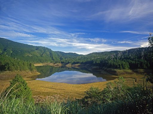 【旅遊省錢術】國家森林遊樂區7月起推優惠～150元暢遊宜花東國家森林遊樂區、抽阿里山栩悅號鐵道環島5日遊！