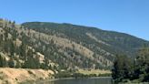 New data raises more questions about health of Clark Fork fishery