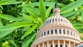 US Senators Introduce Bill To Legalize Marijuana