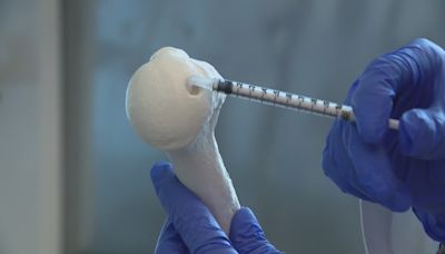 Revolutionary cartilage regeneration technology developed by Chicago scientists