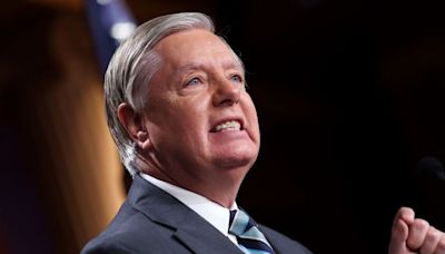 ‘It applies to men too’: Republican 'cat lady' Lindsey Graham catches heat from Vance quip