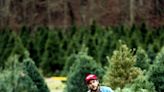 Don't wait to find the perfect tree: Visit these Middle TN Christmas Tree Farms
