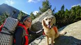 Dog Falls 50 Feet Off ‘Stairway to Heaven’ Hiking Trail in Hawaii